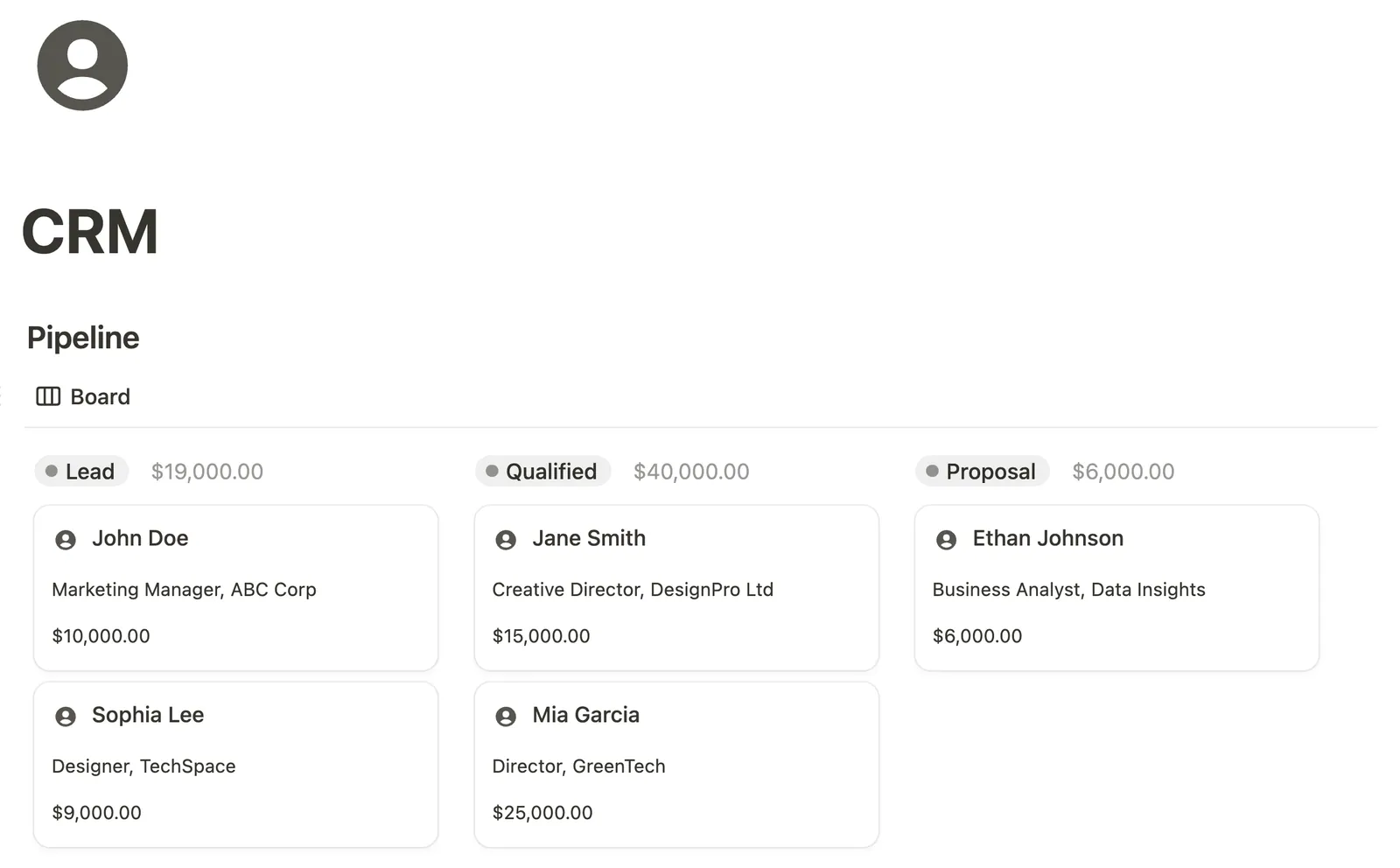 CRM Template preview